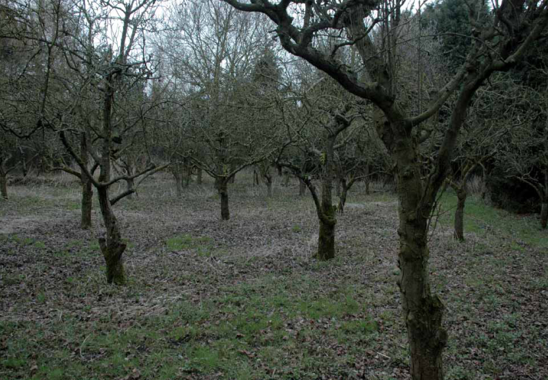 afbeelding "i_NL.IMRO.0654.BPHKPDR2019-0001_0004.jpg"